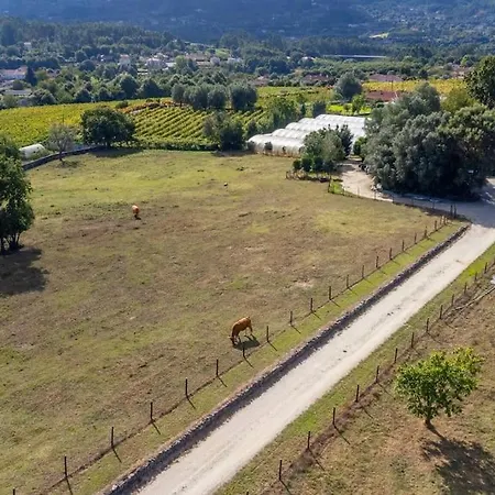 Casas Da Torre Medieval Prázdninový dům