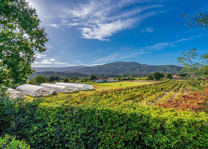 Casas Da Torre Medieval *